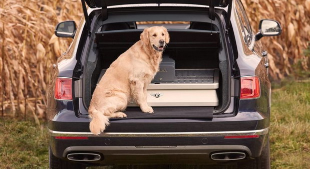bentley b bentley b