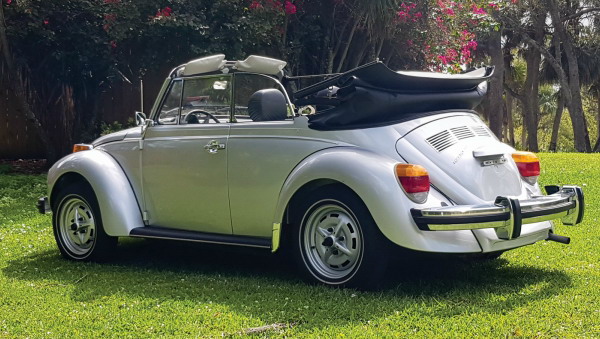 vw beetle vw beetle