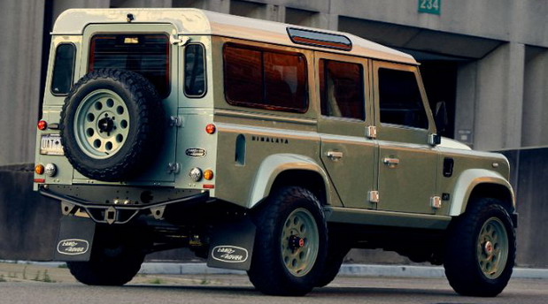 Himalaya Hue 166 Defender Himalaya Hue 166 Defender