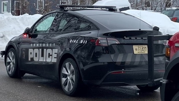 Tesla Police