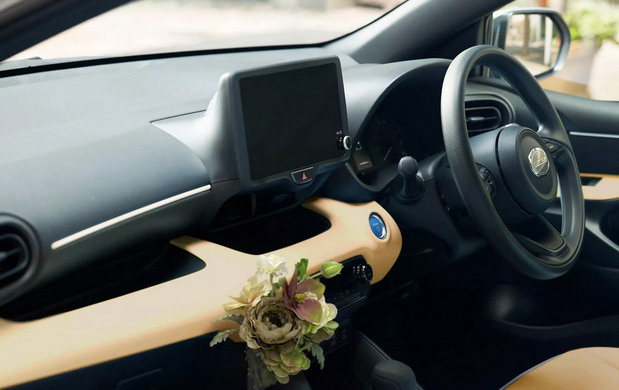 Mitsuoka Viewt Royal Edition