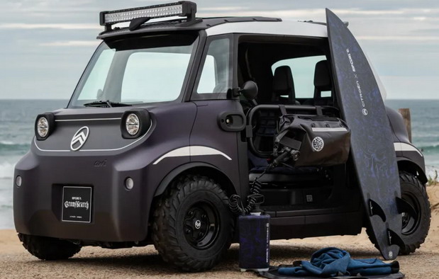 Citroen Ami Buggy Rip Curl Vision