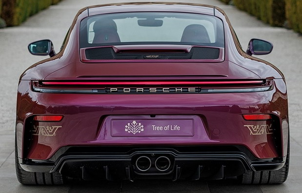 Porsche 911 GT3 Touring "Tree of Life"