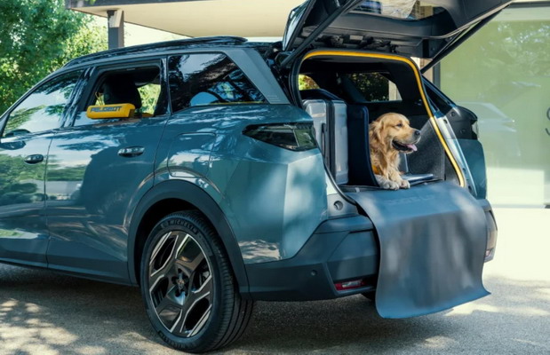 Peugeot E-5008 Dog Edition Peugeot E-5008 Dog Edition
