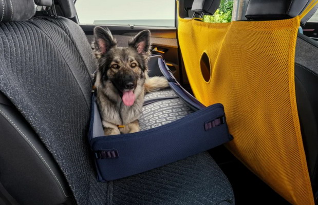 Peugeot E-5008 Dog Edition
