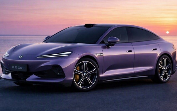 Denza Z9S