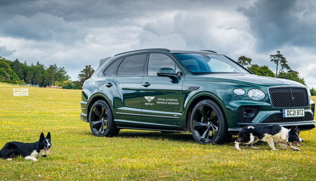 Bentley ‘Goodwoof’