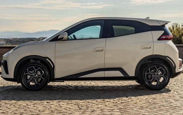 BYD Dolphin Surf