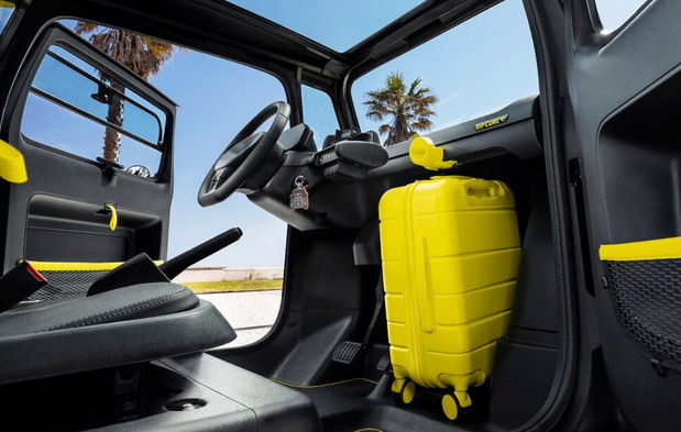 Citroen Ami Rip Curl