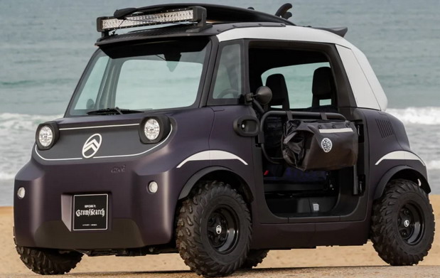 Citroen Ami Buggy Rip Curl Vision