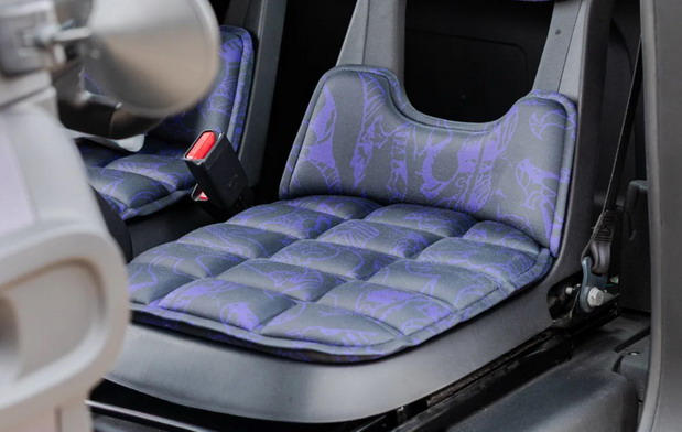 Citroen Ami Buggy Rip Curl Vision