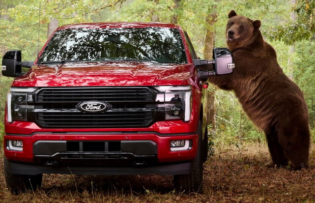 Ford & Tag