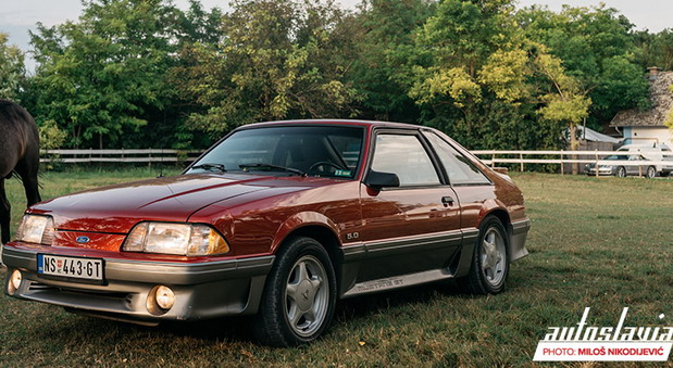 Ford Mustang Ford Mustang