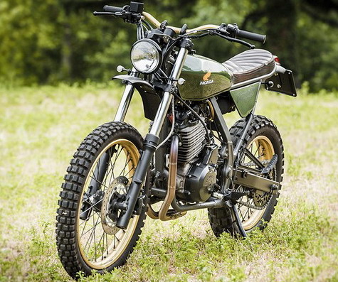 Dominator 650