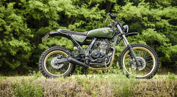 Dominator 650
