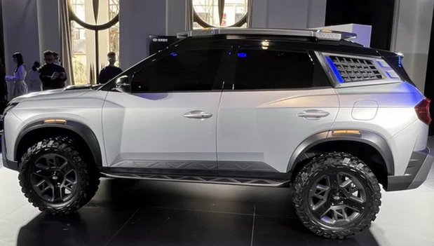 Hyundai Mufasa Adventure