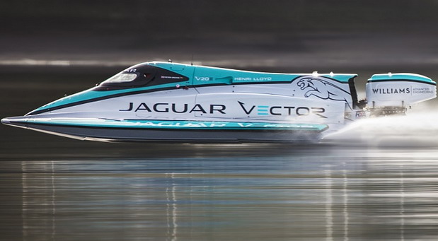 Jaguar Vector