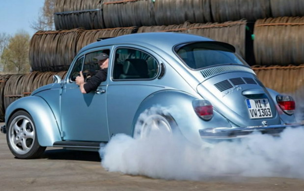 Knepper Bugs & More Knepper Bugs & More