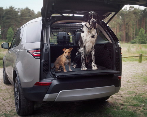 Land Rover Pet Land Rover Pet