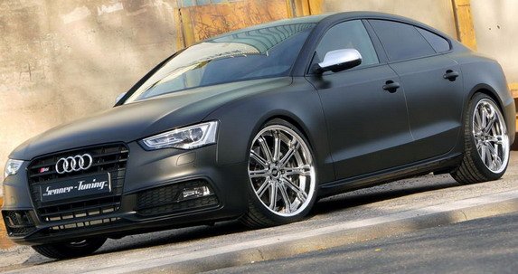 112955-senner s5 1.jpg, 58 KB