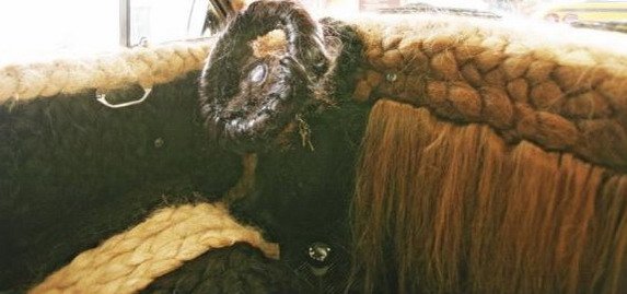 120254-fiat 500 1111.jpg, 42 KB