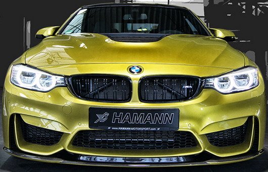 120489-hamann 1111.jpg, 68 KB