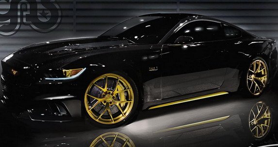 120767-galpin 1.jpg, 49 KB