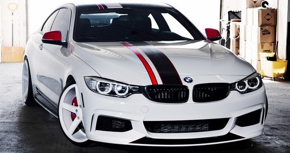 121594-vossen 1.jpg, 59 KB