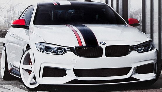 121595-vossen 11.jpg, 55 KB