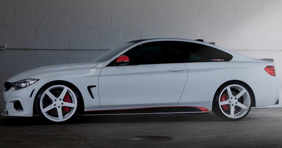 121596-vossen 111.jpg, 35 KB