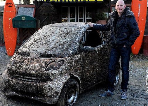 123533-Smart 1.jpg, 87 KB