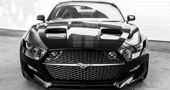 127925-galpin 111.jpg, 56 KB
