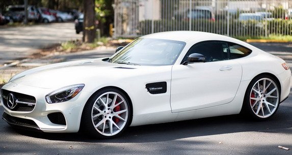 130681-vossen 1.jpg, 57 KB