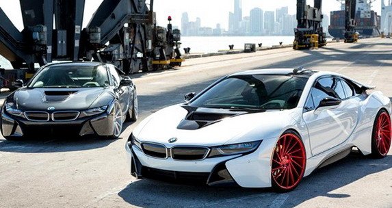 132150-vossen 1.jpg, 67 KB