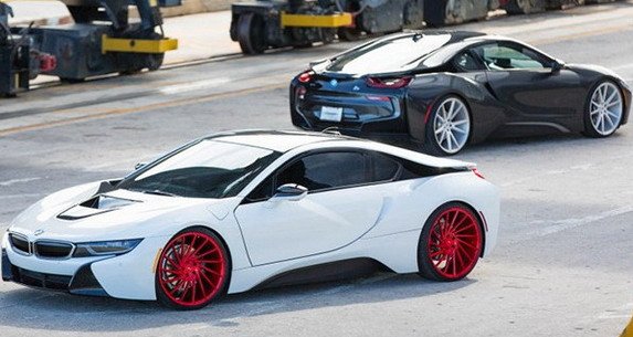 132151-vossen 11.jpg, 59 KB