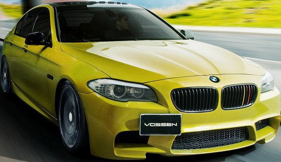 134050-vossen 1.jpg, 56 KB