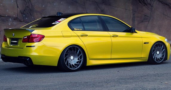 134052-vossen 111.jpg, 52 KB