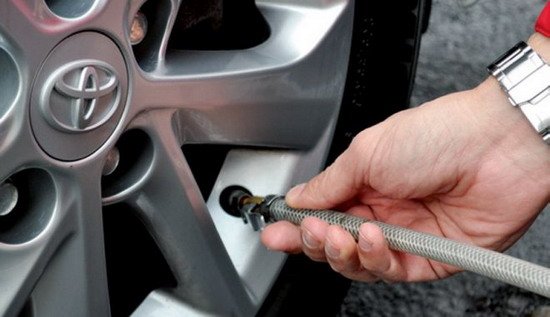 134083-guma.jpg, 44 KB