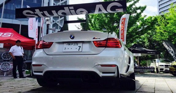 134417-varis 11.jpg, 73 KB