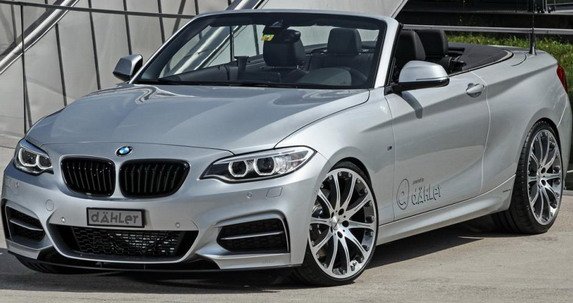 136456-daehler 1.jpg, 56 KB