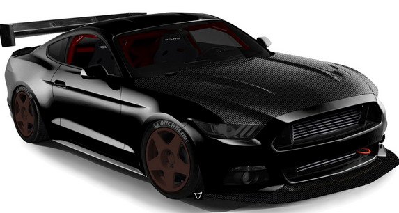 139232-mustang 11.jpg, 40 KB