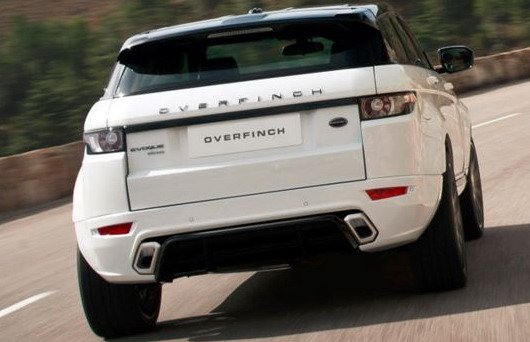 142413-overfinch 1.jpg, 45 KB