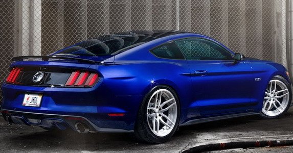 142692-mustang 1.jpg, 64 KB