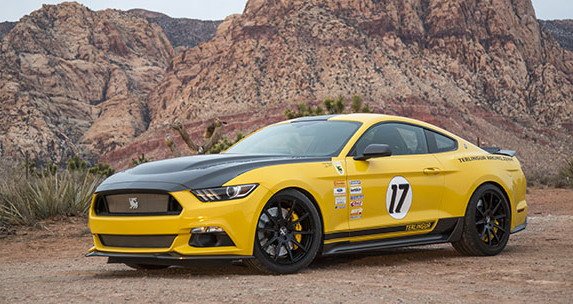 143706-shelby 4.jpg, 80 KB