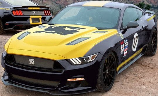 143707-shelby 44.jpg, 67 KB