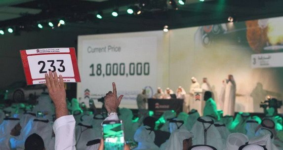 150070-pagani 11.jpg, 43 KB