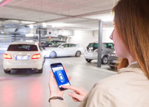 152660-bosch 1.jpg, 45 KB