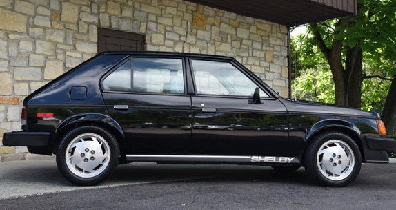 155880-shelby 1.jpg, 61 KB