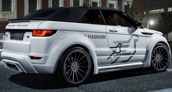 157953-hamann 1.jpg, 66 KB