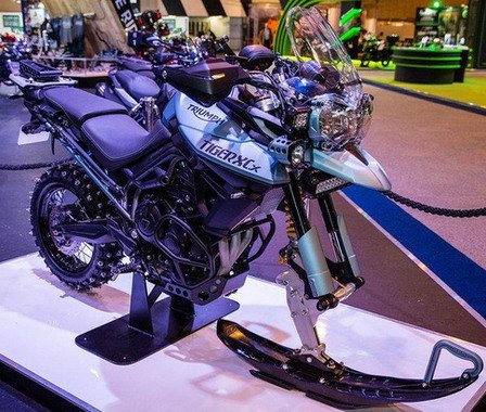 158362-triumph 1.jpg, 80 KB